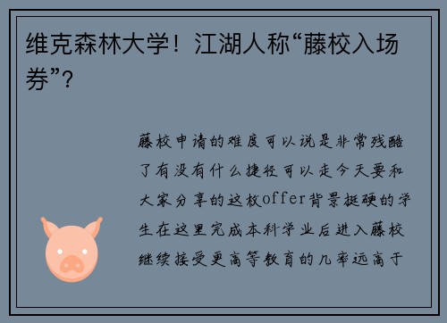 维克森林大学！江湖人称“藤校入场券”？
